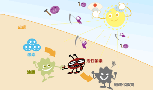 �����V���Ǝ��O��